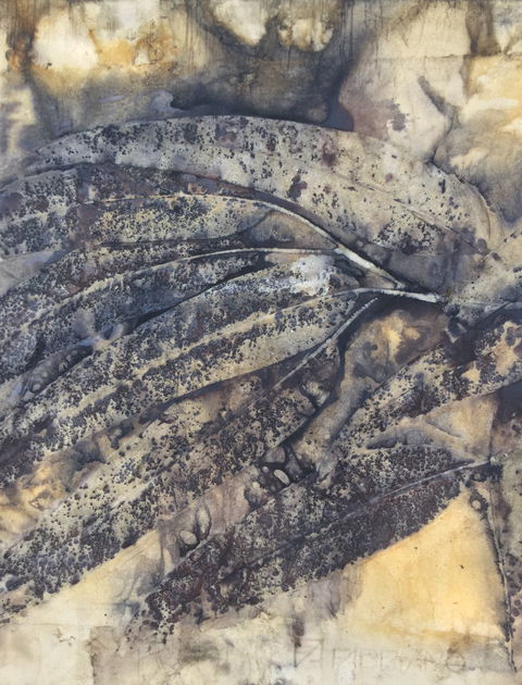 Lyrebirds Lair Gallery And Gifts - Hotel NSW 1