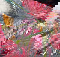 Mokoan Rest Stop Northbound - Hotel NSW