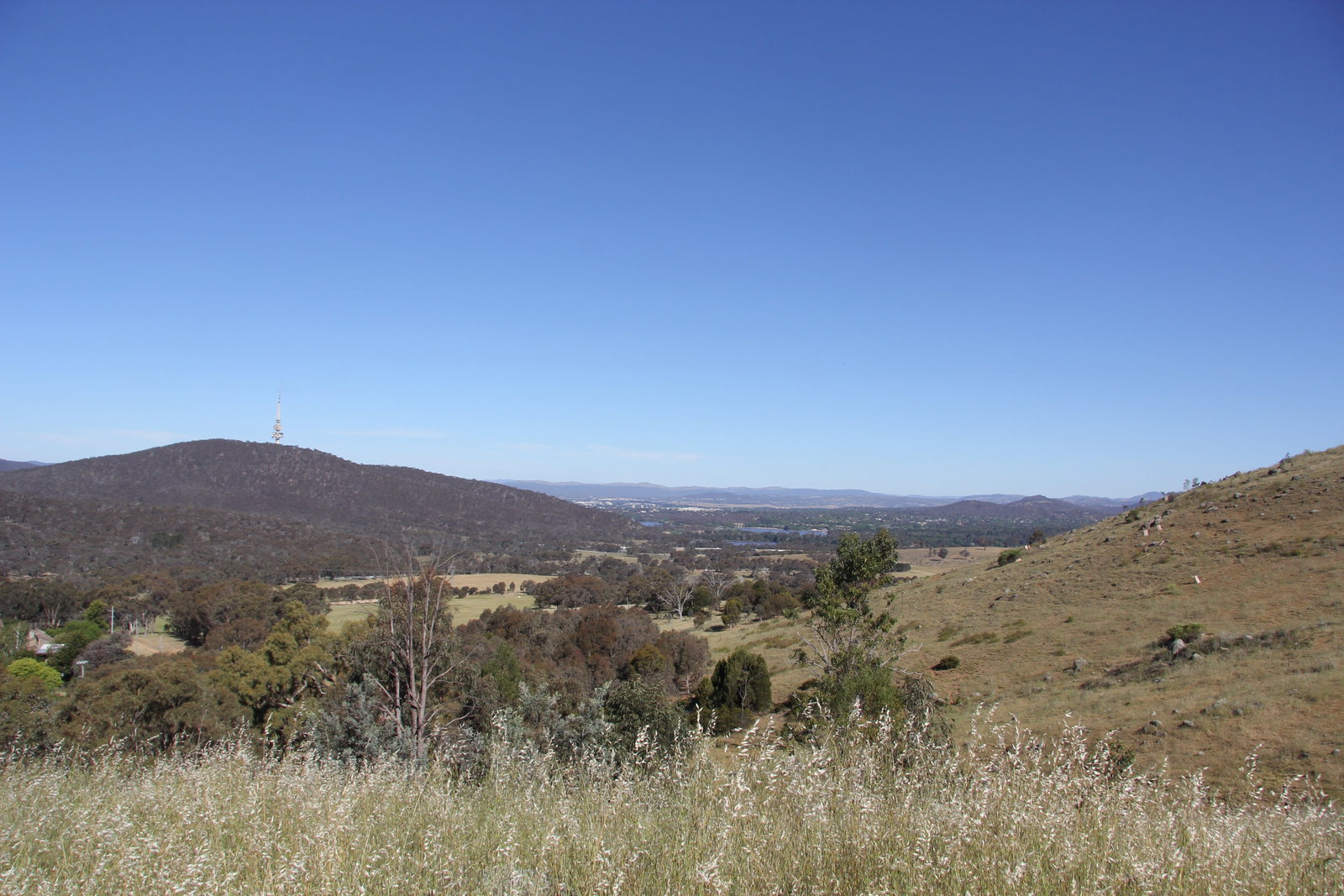 Cook ACT Hotel NSW