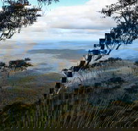 Mount Imlay National Park - Hotel NSW