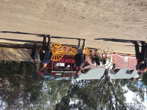 Nagambie Petanque Club Inc - Hotel NSW 1