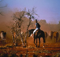 Outback Heritage and Coal Adventure - Hotel NSW