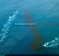 Port Noarlunga Reef Sanctuary Zone - Encounter Marine Park - Hotel NSW