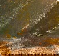 Raysource Road - Hotel NSW