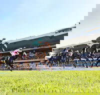 Rosehill Gardens Racecourse - Hotel NSW