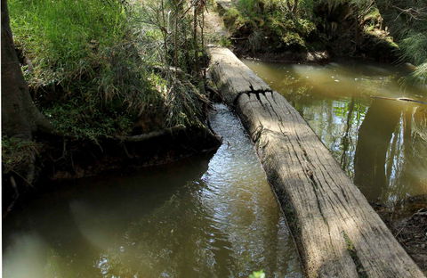 Second Ponds Creek Walk - Hotel NSW 0