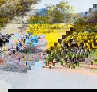 The Heron's Highway - Avon River Cycle Trail - Hotel NSW