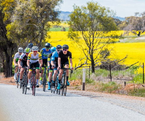 The Heron's Highway - Avon River Cycle Trail - Hotel NSW 0