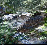 Towarri National Park - Hotel NSW