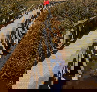 Warringine Park  Bittern Coastal Wetlands Boardwalk - Hotel NSW