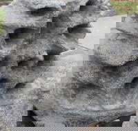 Windara Reef - Hotel NSW