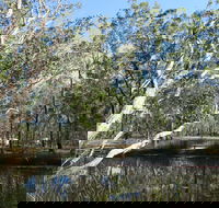 Wongi State Forest - Hotel NSW