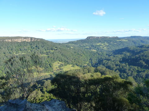 Woodhill - Hotel NSW 2