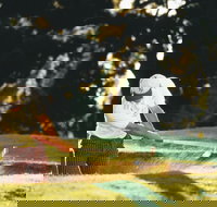 Aberdeen Golf Club - Hotel NSW