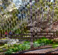 Armadale - Hotel NSW