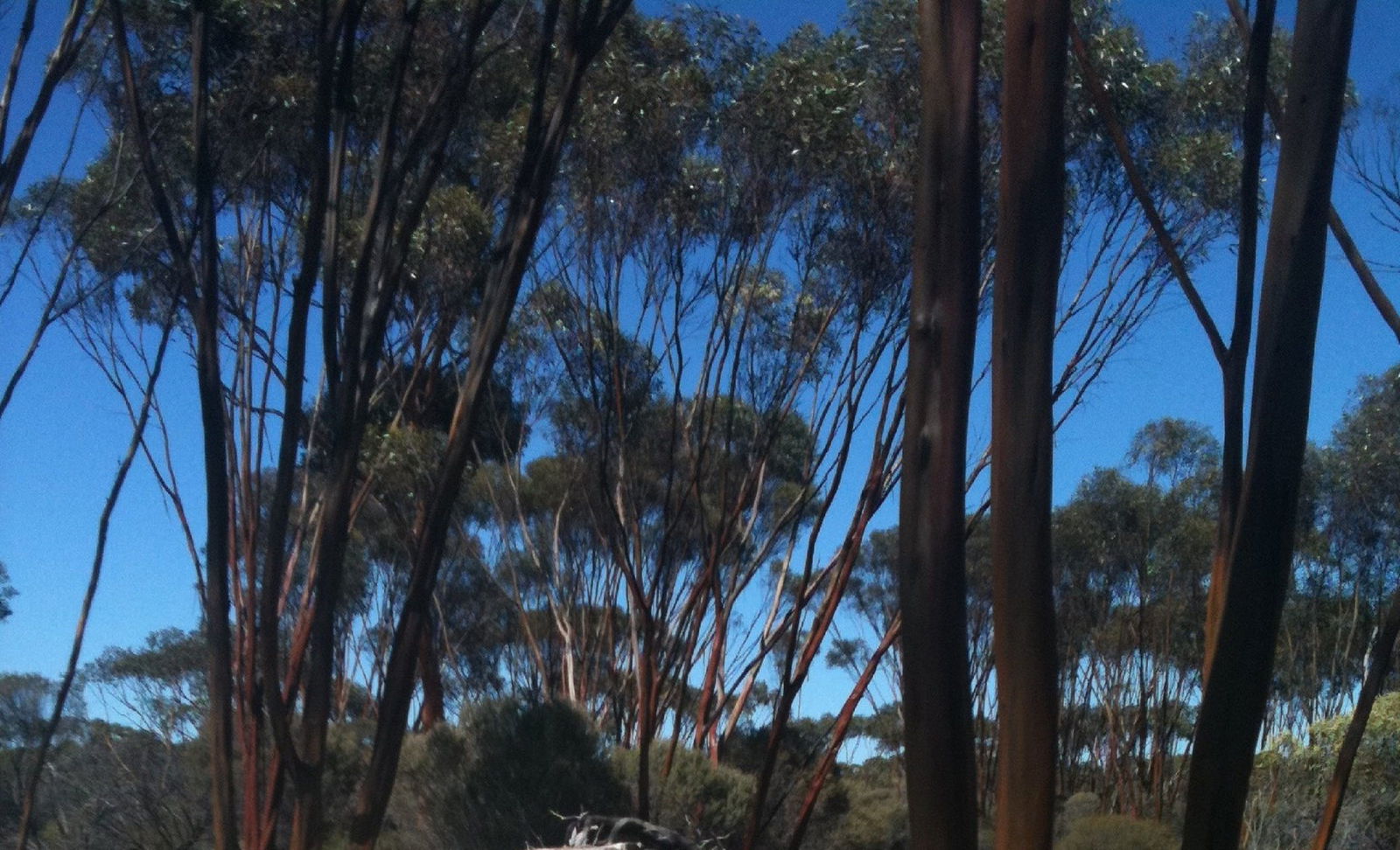 Golden Outback WA Hotel NSW