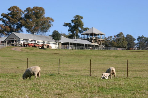 Calmsley Hill City Farm - Hotel NSW 0
