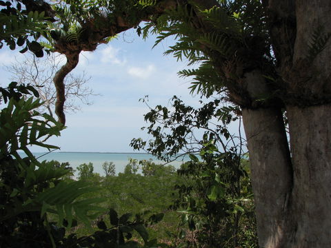 Channel Point Coastal Reserve - Hotel NSW 0