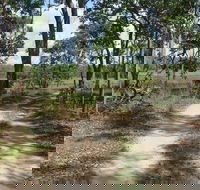 Djukbinj National Park - Hotel NSW
