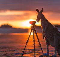 Explore the Mackay Region in Three Days - Hotel NSW