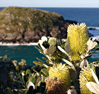 Green Island Walking Track - Hotel NSW