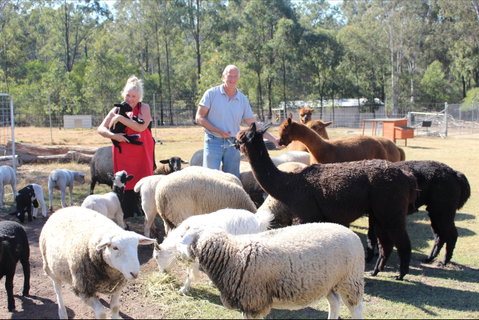 Haigslea EWE Nique Hobby Farm - Hotel NSW 0