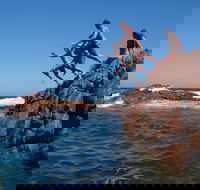 Hillocks Drive - Hotel NSW