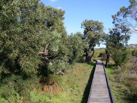 Kepwari Trails Wetland Wonderland - Hotel NSW 0