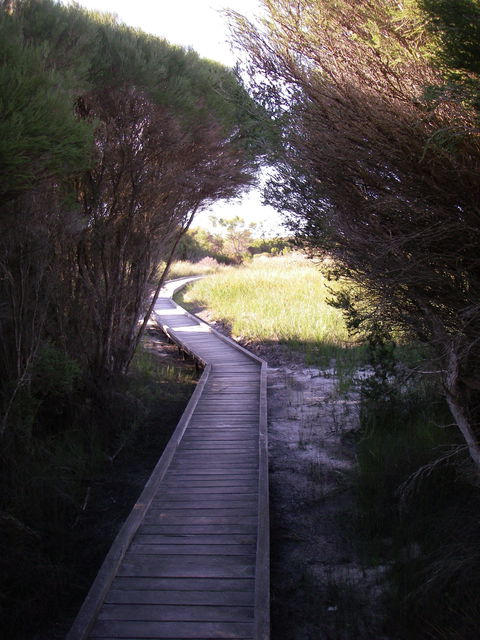 Kepwari Trails Wetland Wonderland - Hotel NSW 1