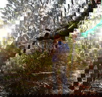 Kinglake National Park - Hotel NSW