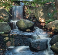 Mackay Regional Botanic Gardens - Hotel NSW