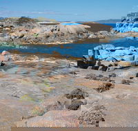 Nanarup Beach - Hotel NSW