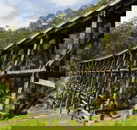 Noojee Trestle Bridge - Hotel NSW