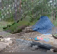 Northbrook Mountain Bush Camp - Hotel NSW