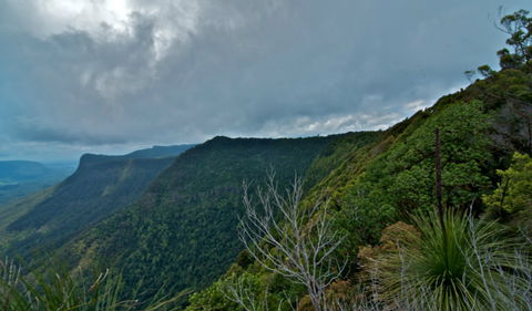 Pinnacle Walk And Lookout - Hotel NSW 0