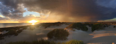 Shelly Beach Dune Walk Trail - Hotel NSW 2
