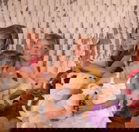 Tambo Teddies - Hotel NSW