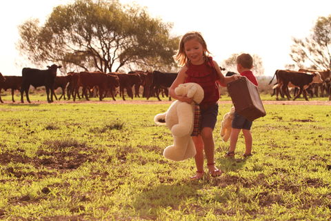 Tambo Teddies - Hotel NSW 1