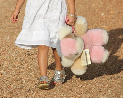 Tambo Teddies - Hotel NSW 2
