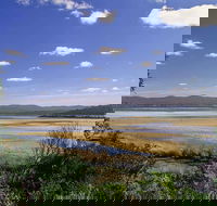 Wallagoot Lake Picnic Area and Boat Ramp - Hotel NSW