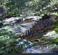 Washpools waterhole - Hotel NSW