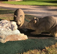 Wombat Statues Moonta - Hotel NSW
