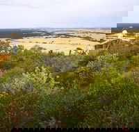 Archer Drive Scenic Drive and Lookout - Hotel NSW