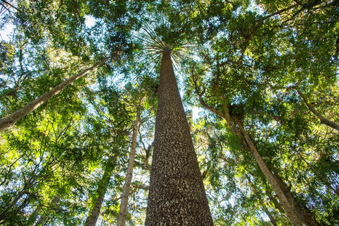 Big Sky National Parks - Hotel NSW 0