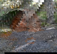 Bindjareb Cultural Park - Hotel NSW