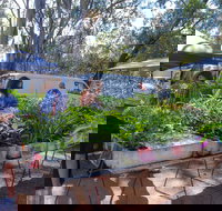 Fernvale Country Markets - Hotel NSW