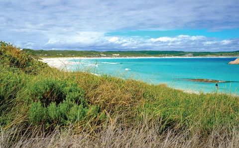 Great Ocean Drive - Hotel NSW 2