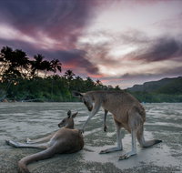 How to Holiday on The Hibiscus Coast with your Family - Hotel NSW