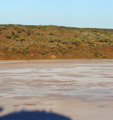 Inside Australia - Antony Gormley Sculptures - Hotel NSW 0