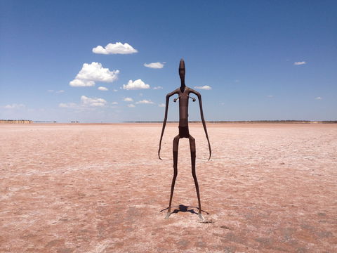 Inside Australia - Antony Gormley Sculptures - Hotel NSW 1